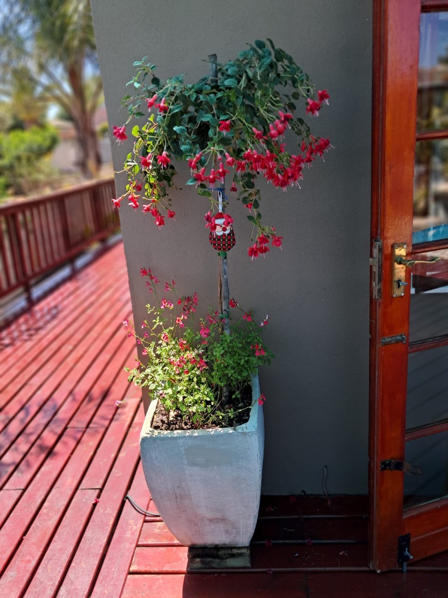 5 Bedroom Property for Sale in Fraaiuitsig Western Cape